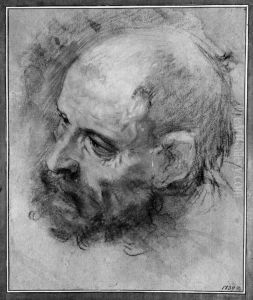 Head of a Bearded Man Turned to the Left and Inclined to the Side Head of a Bearded Man Turned to the Left and Inclined to the Side