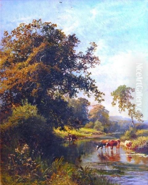 Cattle Watering In A Wooded Stream - view 1