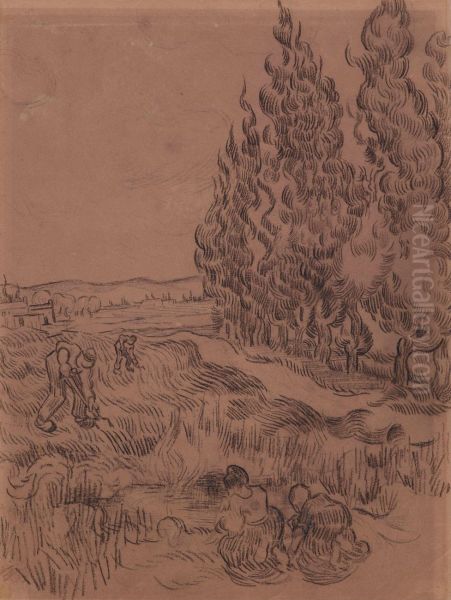 Cypresses with four people working in the field - view 1