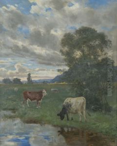 Kyr ved tjern Kyr ved tjern