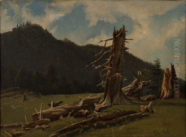 Landskap med dode traer - view 1