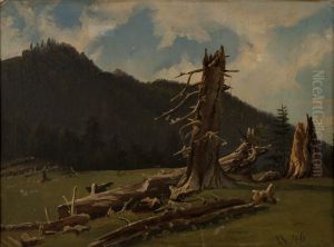 Landskap med dode traer by Knud Baade