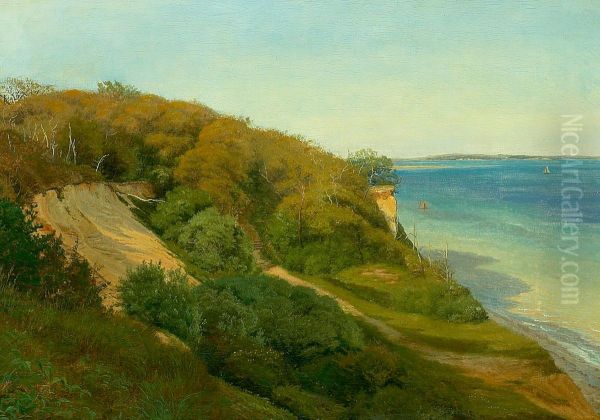 Hills at Moesgard beach in the late summer. - view 1