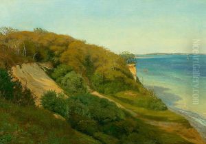 Hills at Moesgard beach in the late summer.