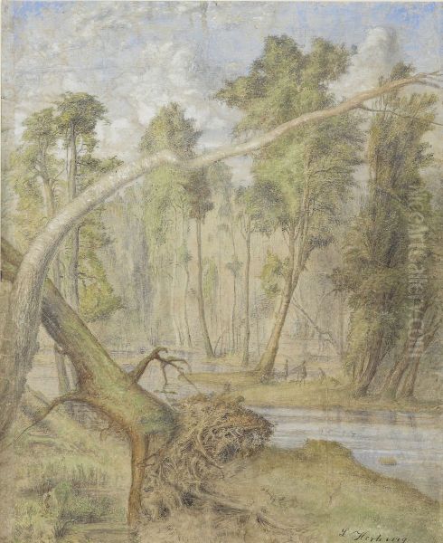 Urskog - view 1
