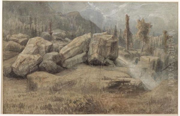 Fjell og skoglandskap - view 1