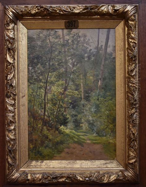 Sous-bois - view 1
