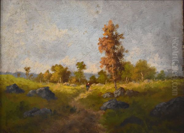 Paysage - view 1