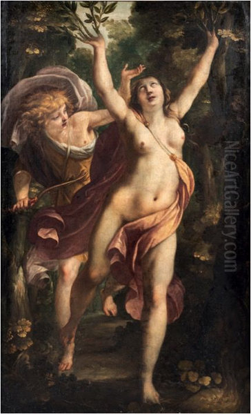 Apollon et Daphne - view 1