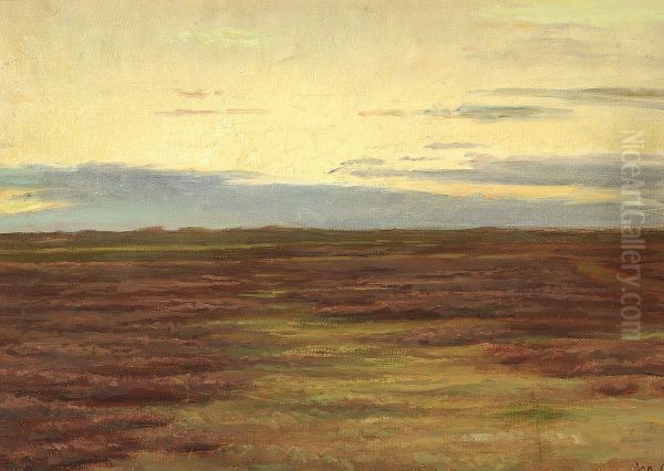 Solnedgang over Brovandene syd for Skagen. - view 1