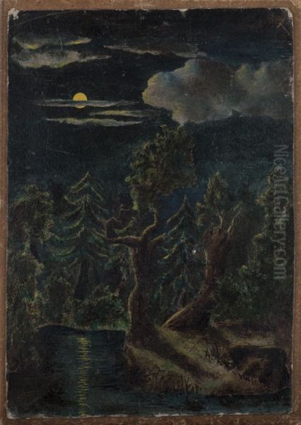 Kuutamomaisema - view 1