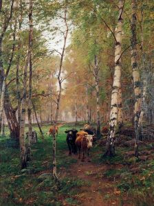 Cows in a Birch Forest