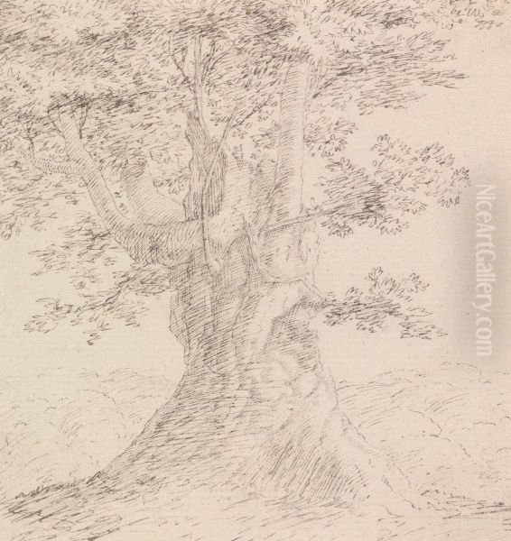 Tree Study - view 1