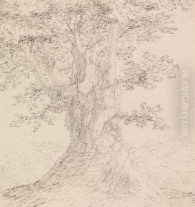 Tree Study