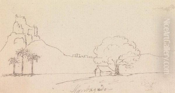 Landscape View with Palm Trees - view 1