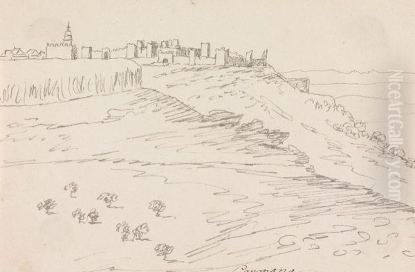 Carmona - view 1