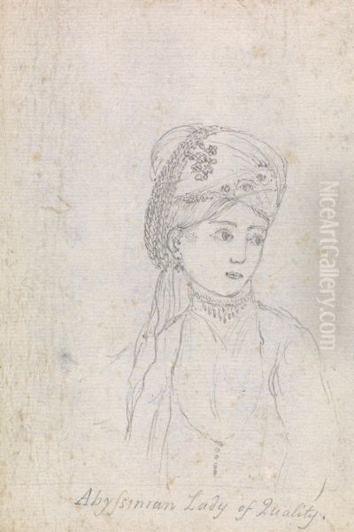Abyssinian Lady of Quality - view 1