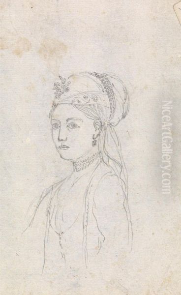 Abyssinian Lady of Quality - view 1