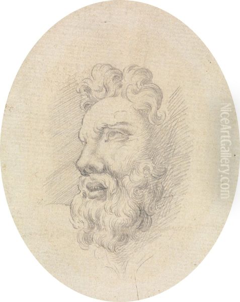 Head of a Bearded Man - view 1