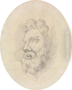 Head of a Bearded Man