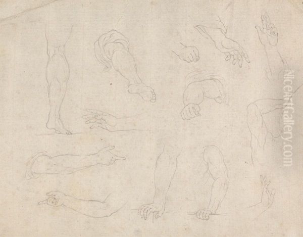 Studies of Legs, Arms and Hands - view 1