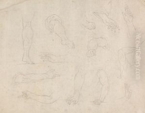 Studies of Legs, Arms and Hands