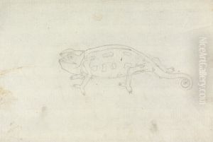 Chamaeleonidae (Chameleon) by James Bruce
