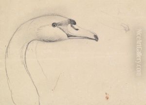 Head of a Swan