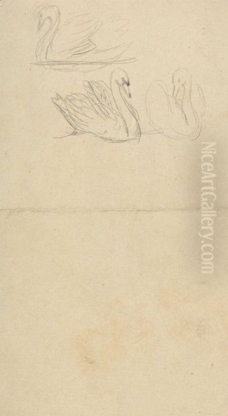 Three Swans - view 1