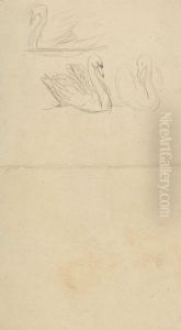 Three Swans by James Sowerby