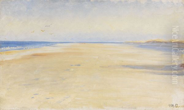 The beach at Skagen. - view 1