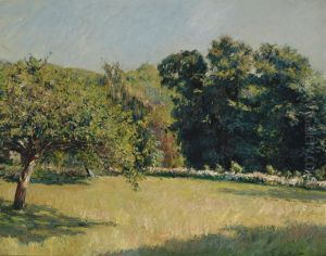 Un Jardin A Trouville