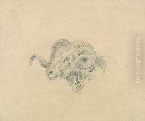 Head of a Ram by Sawrey Gilpin