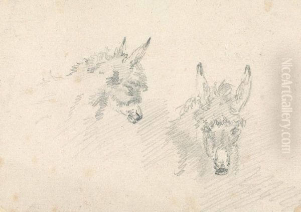 Two Heads of Donkeys - view 1