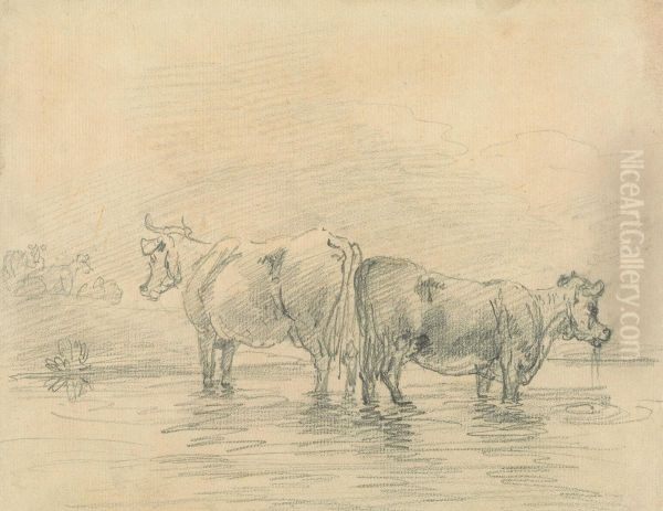 Cattle - view 1