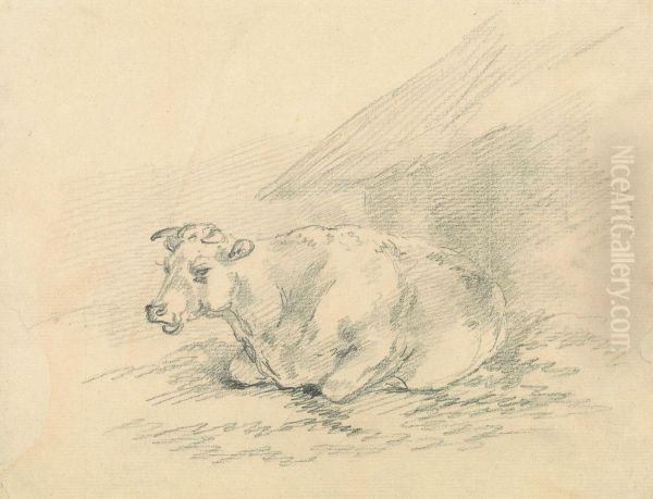 Cow Lying Next to a Barn - view 1
