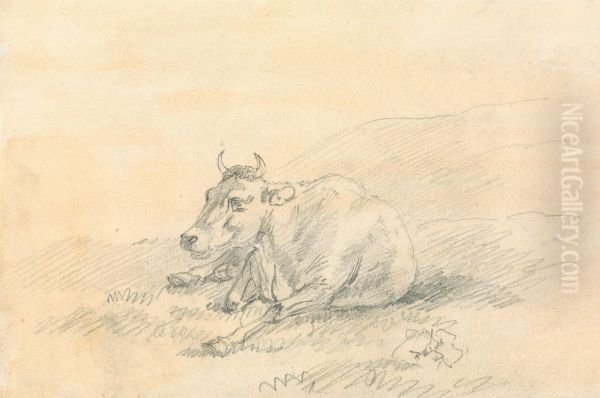 Cow Lying Down - view 1