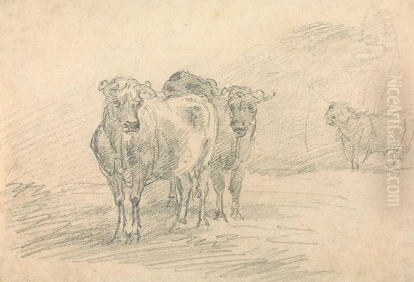 Two Cows on a Hill - view 1