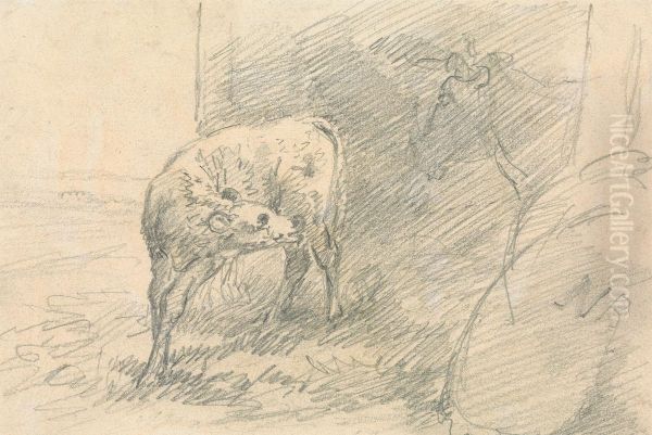 Calf, with Head of a Cow - view 1