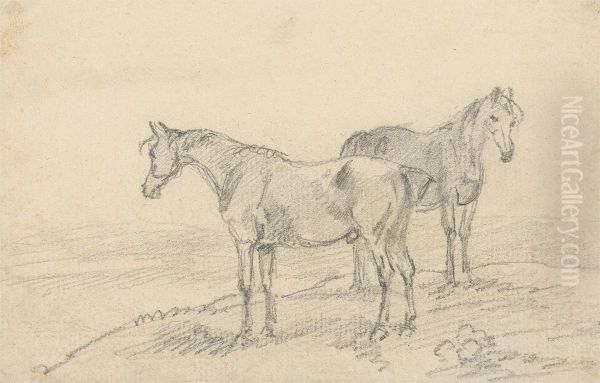 Two Horses - view 1