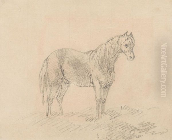 Male Horse - view 1