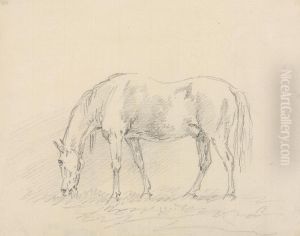 Horse Grazing