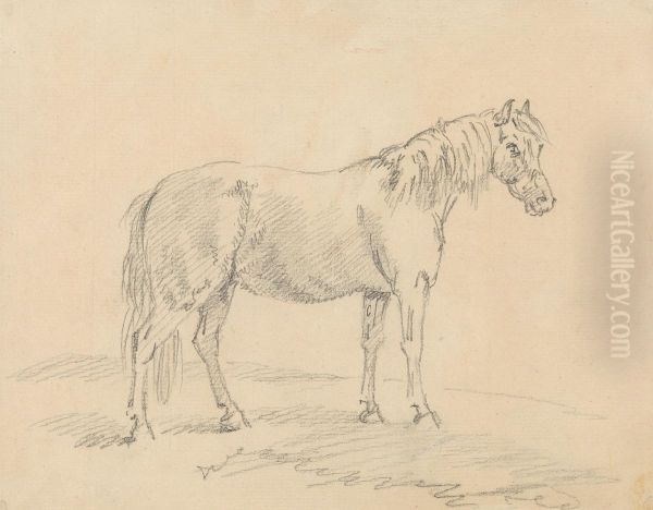 Standing Horse - view 1