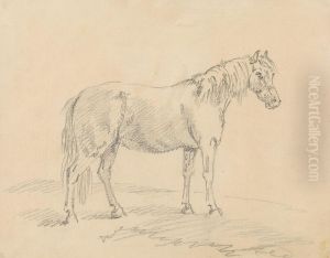 Standing Horse Standing Horse
