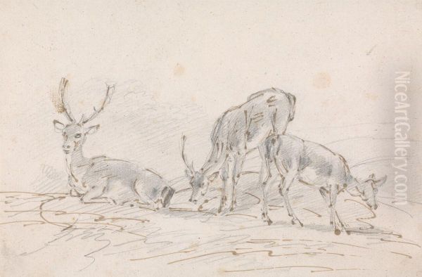 Three Deer - view 1