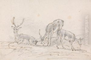 Three Deer