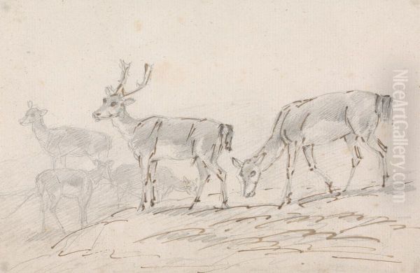 Five Deer - view 1
