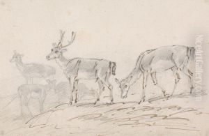 Five Deer