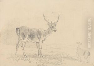 Buck and Doe