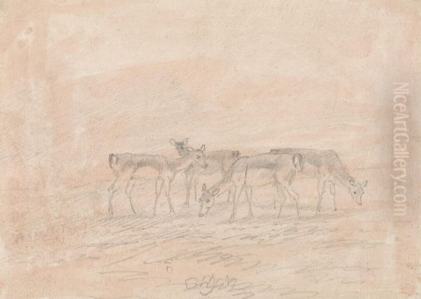 Four Deer - view 1